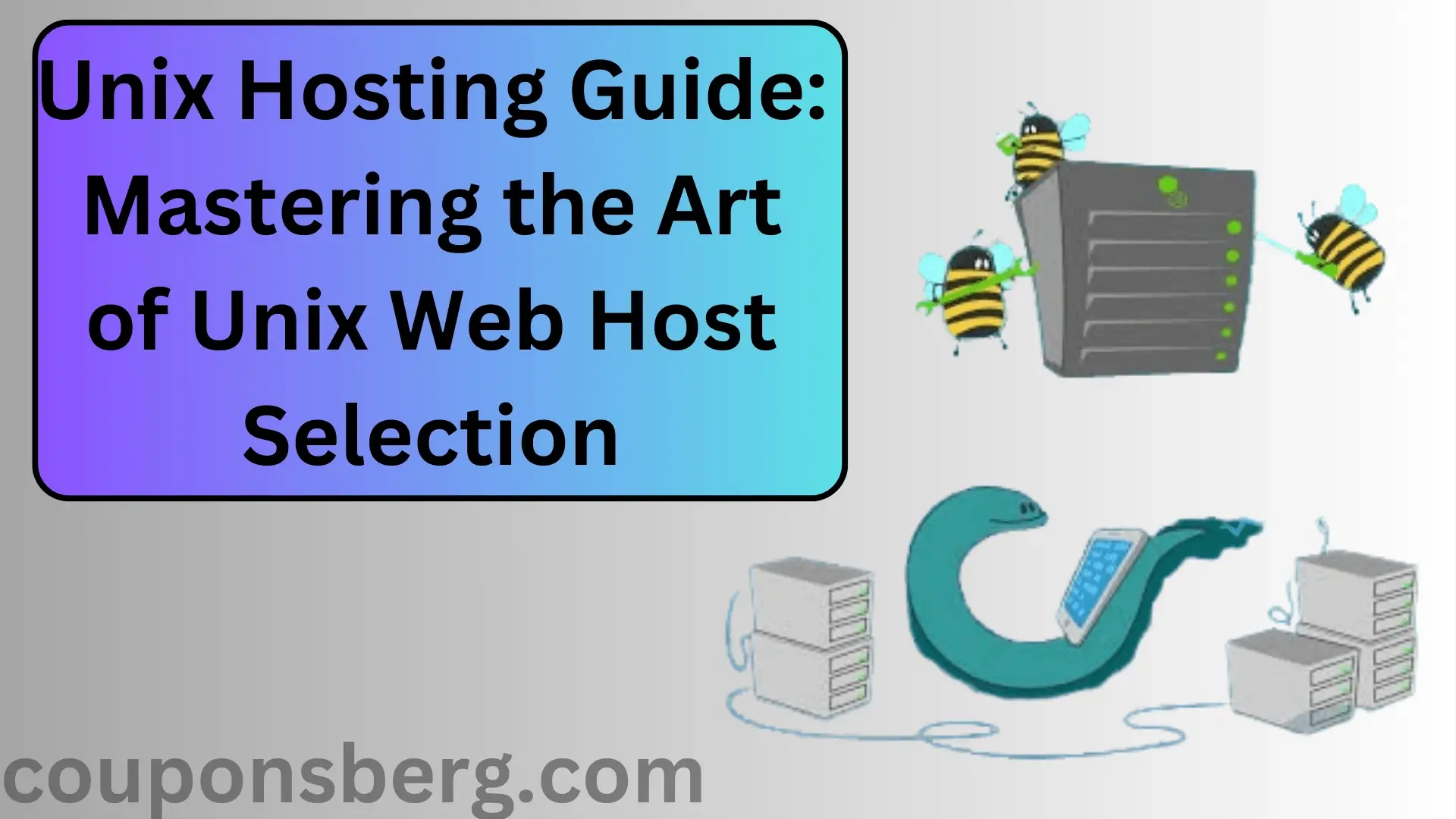 Unix Hosting Guide: Mastering the Art of Unix Web Host Selection